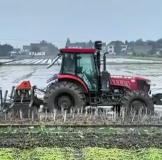 您負(fù)責(zé)統(tǒng)籌全局，它負(fù)責(zé)腳踏實(shí)地