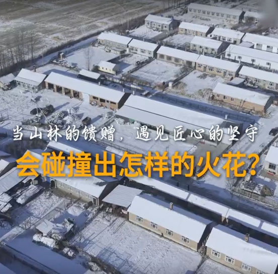 百創(chuàng)山核桃3